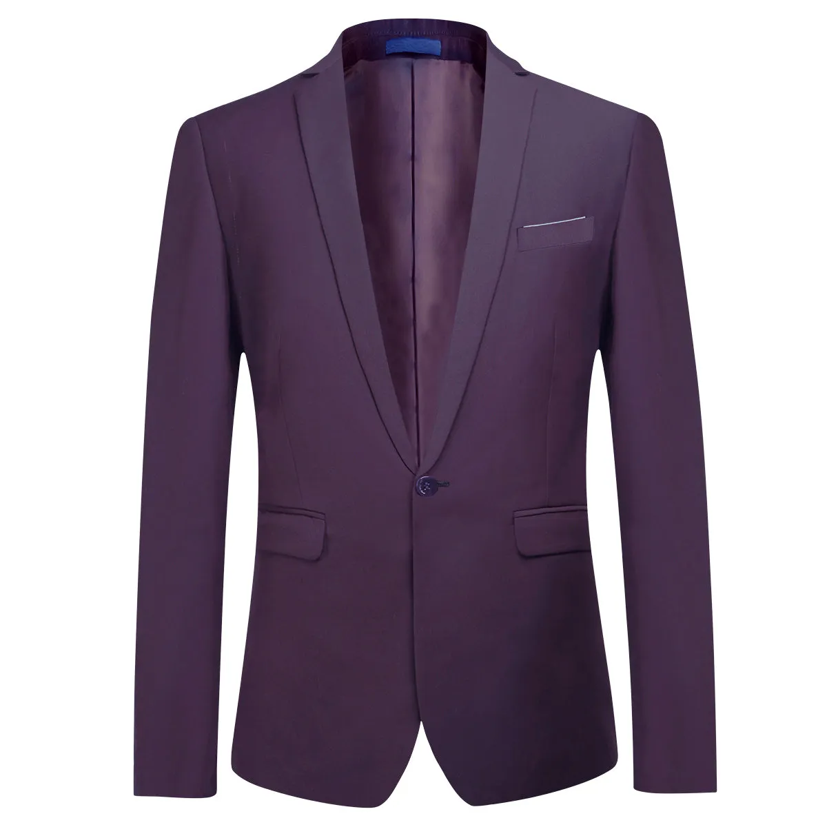 2-Piece Slim Fit Simple Designed Purple Suit